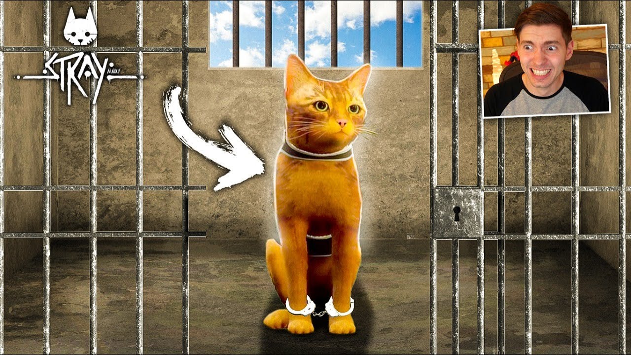 O GATO invadiu uma CADEIA!! (NOVO JOGO) - Stray