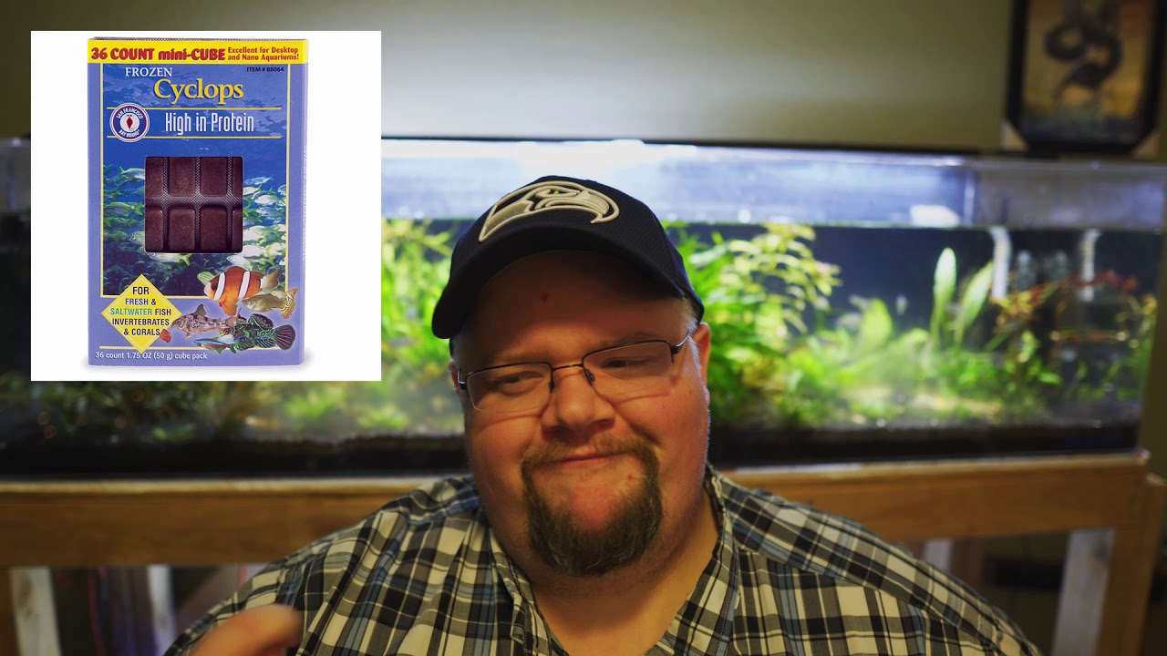 My Favorite Frozen Foods for Fish