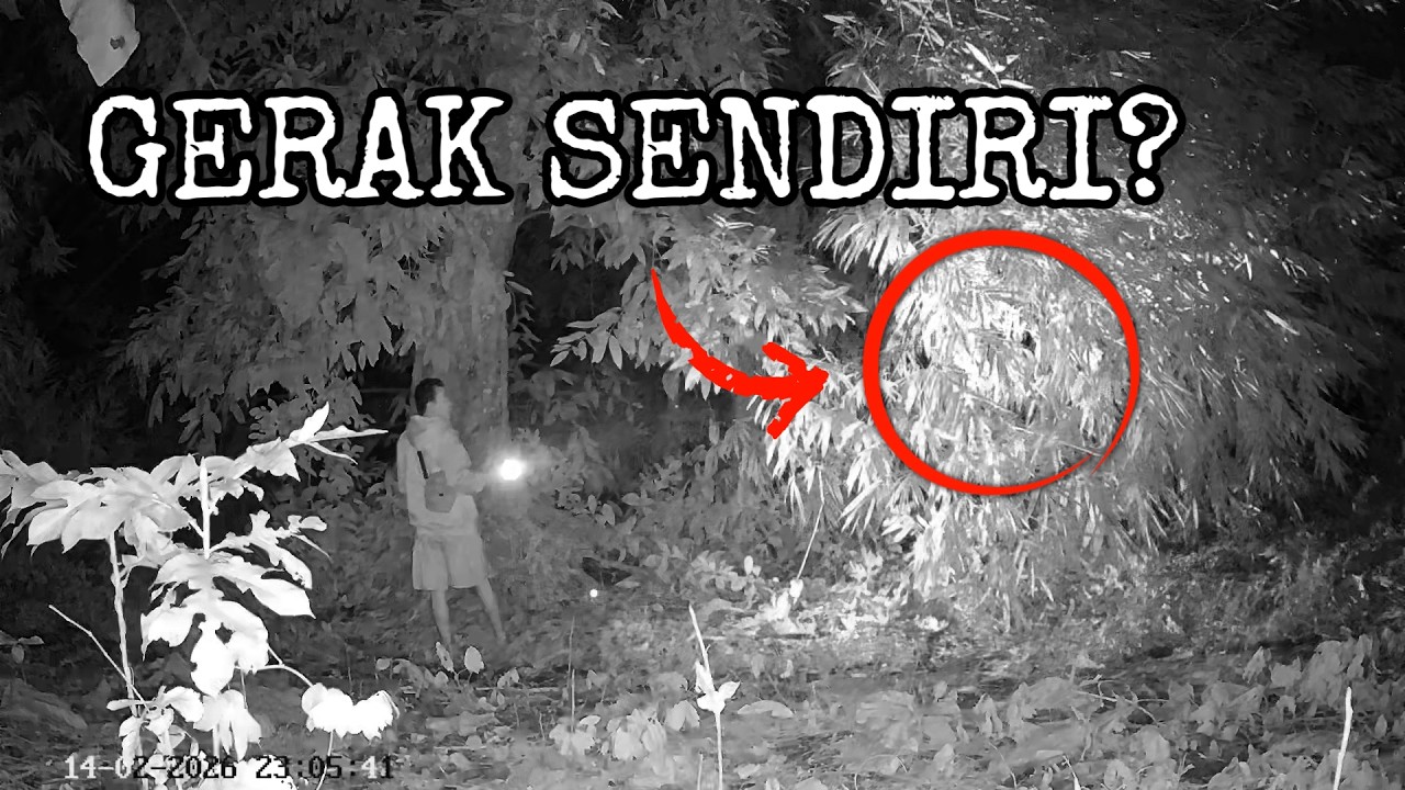 Ngeri! Hantu Usil, Suara Aneh, Ular Viper... Semua Ada di Sini