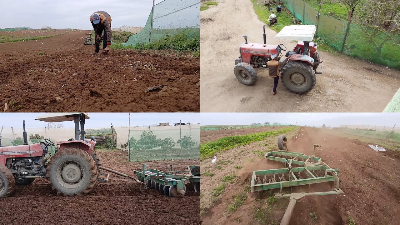 يوميات الفلاحية في المغرب 