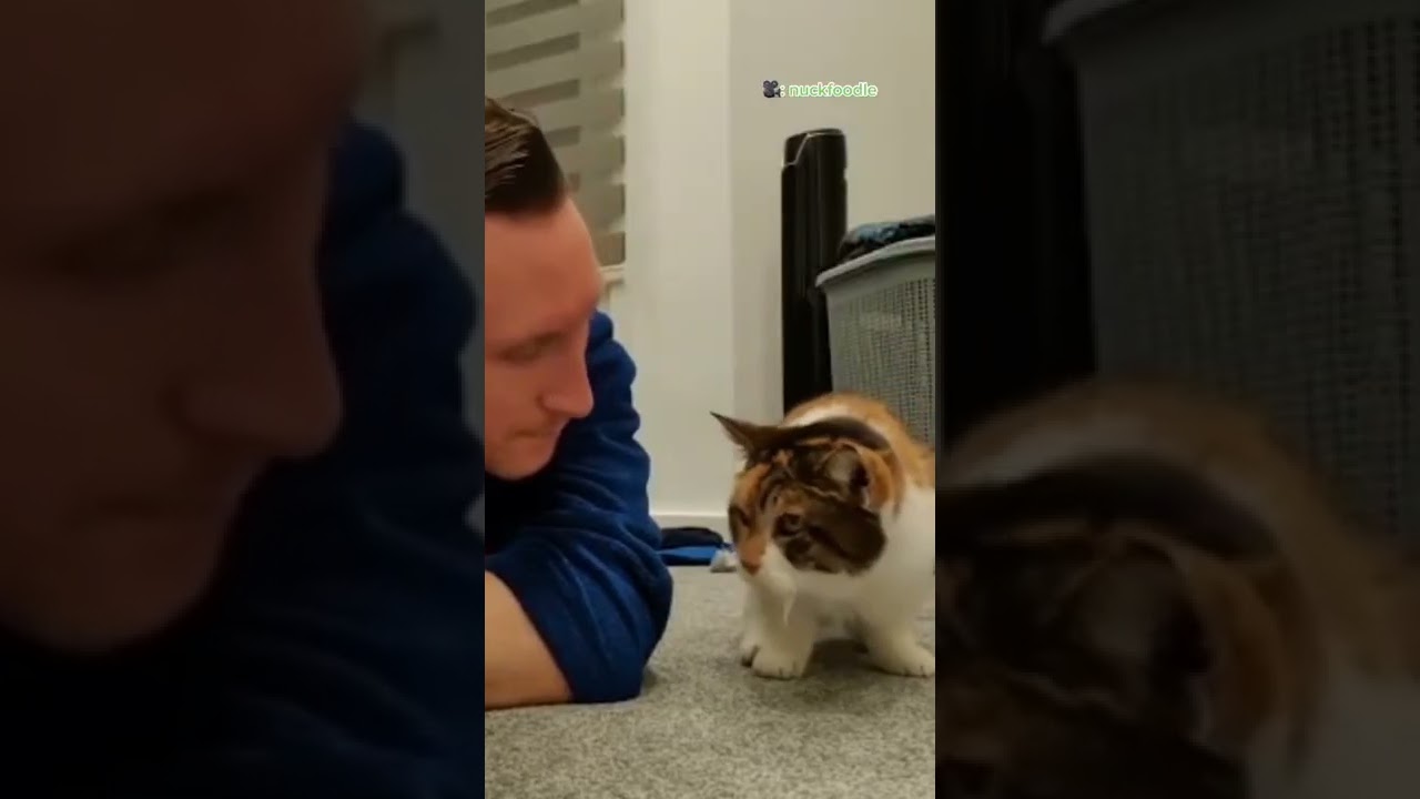 Best birthday ever 😻 