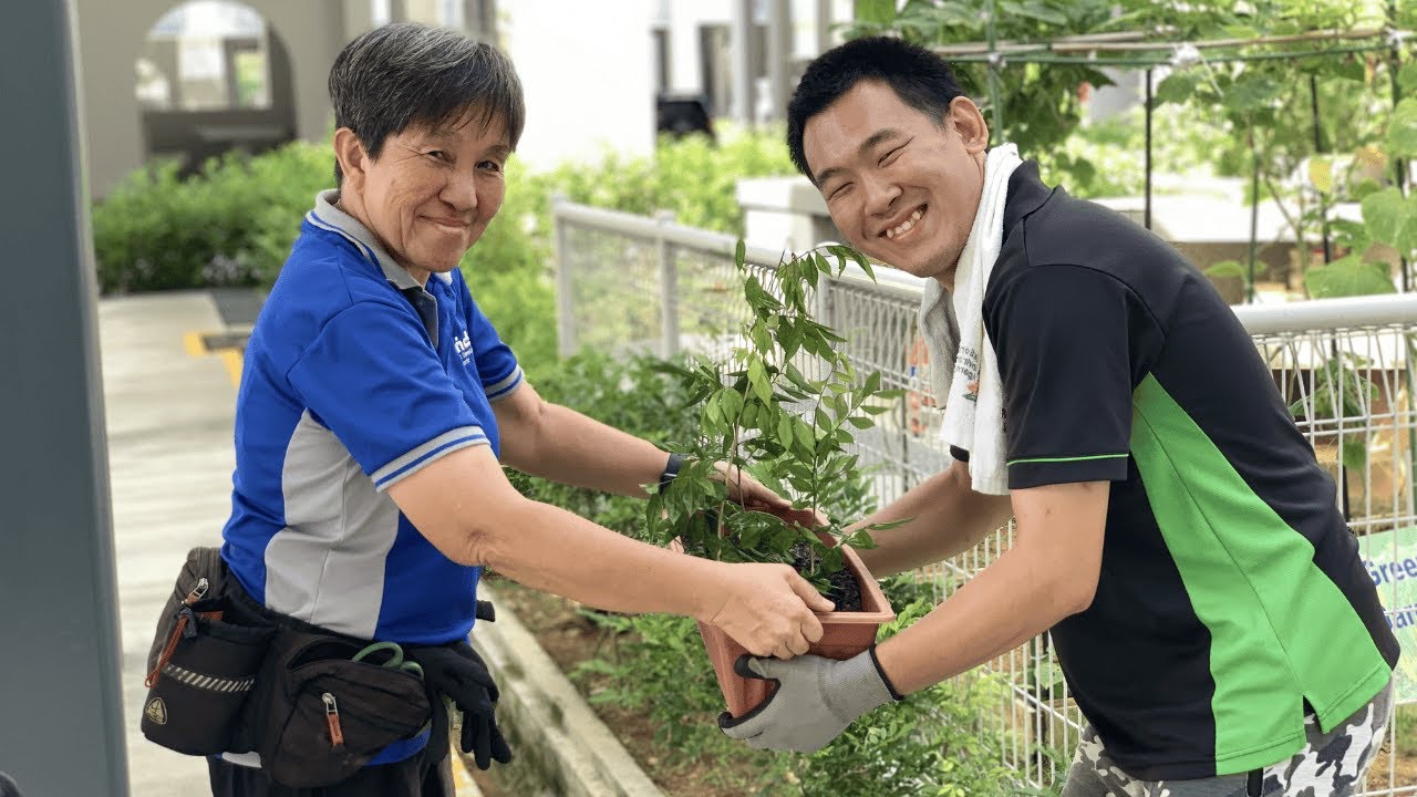 MINDS FY24 Achievements – Revamping Post-18 Service Model, Deepening the Movement
