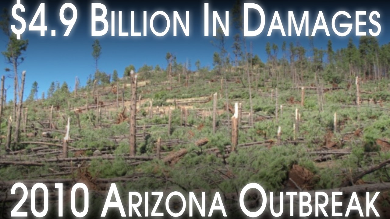 The October 2010 Arizona Tornado Outbreak And Hailstorm: A Retrospective And Analysis