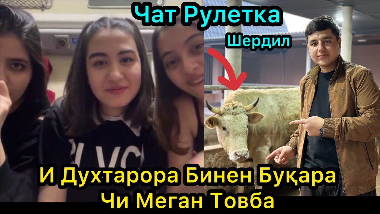 Товба и Духтарора Бинен Гова Чи меган