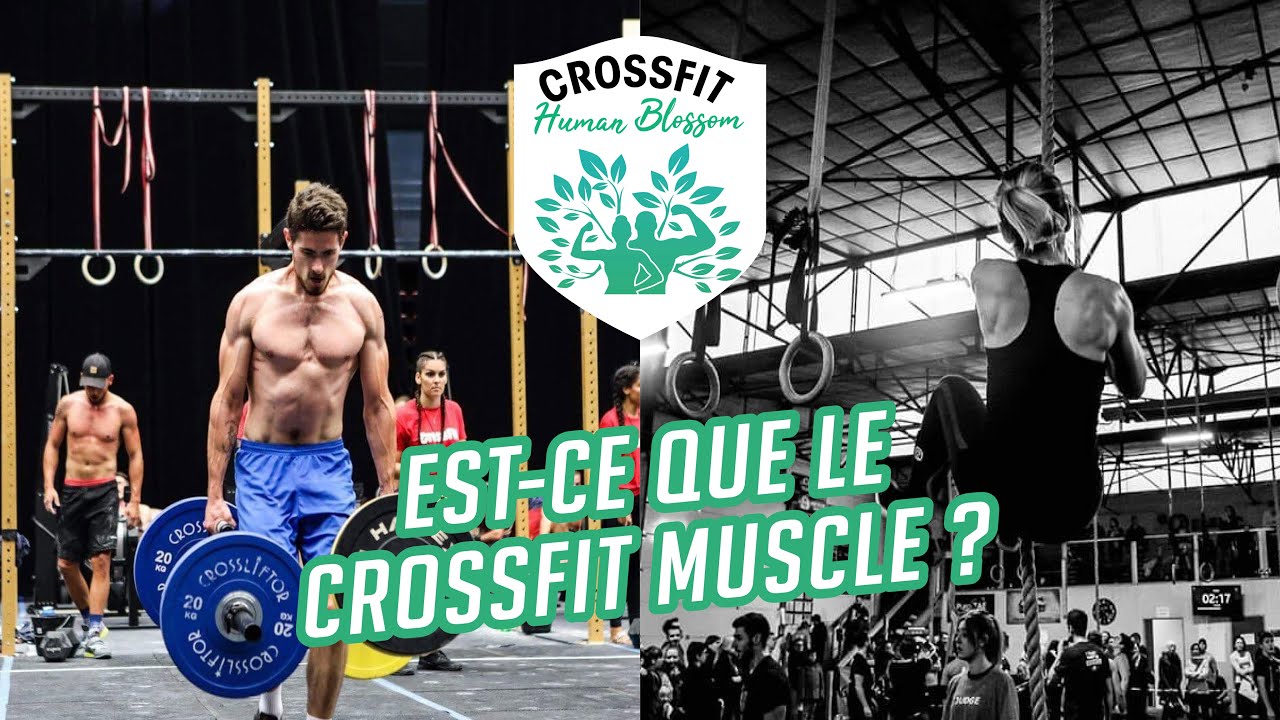 EST-CE QUE LE CROSSFIT MUSCLE ? - Human Blossom