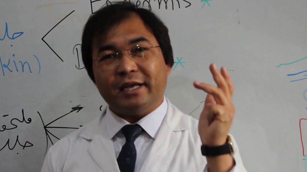 Anatomy| Skin | Fascia | Muscles | Lecture 7 | اناتومی | جلد و صفاق | عضله