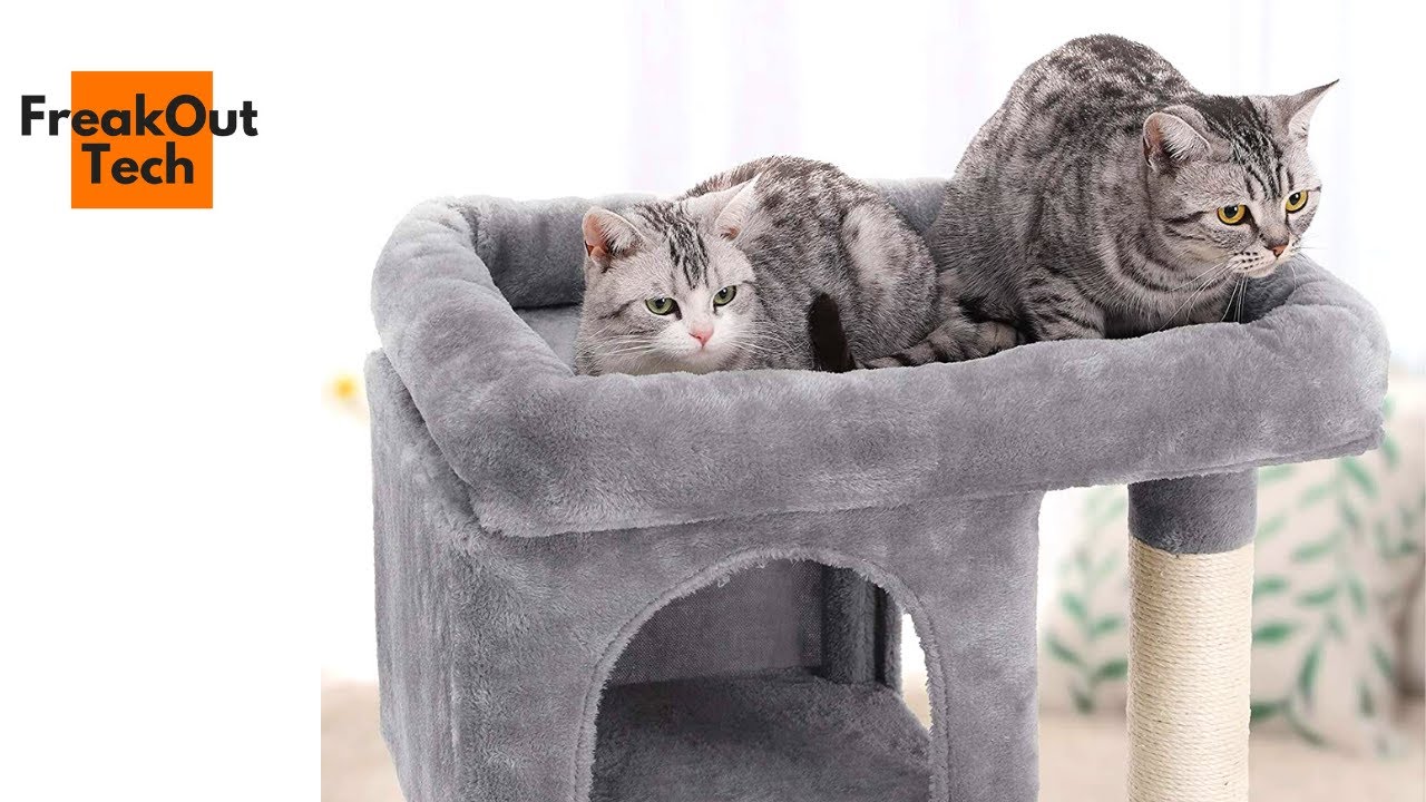 Best Cat Tree Options Under $100 (Pros and Cons)