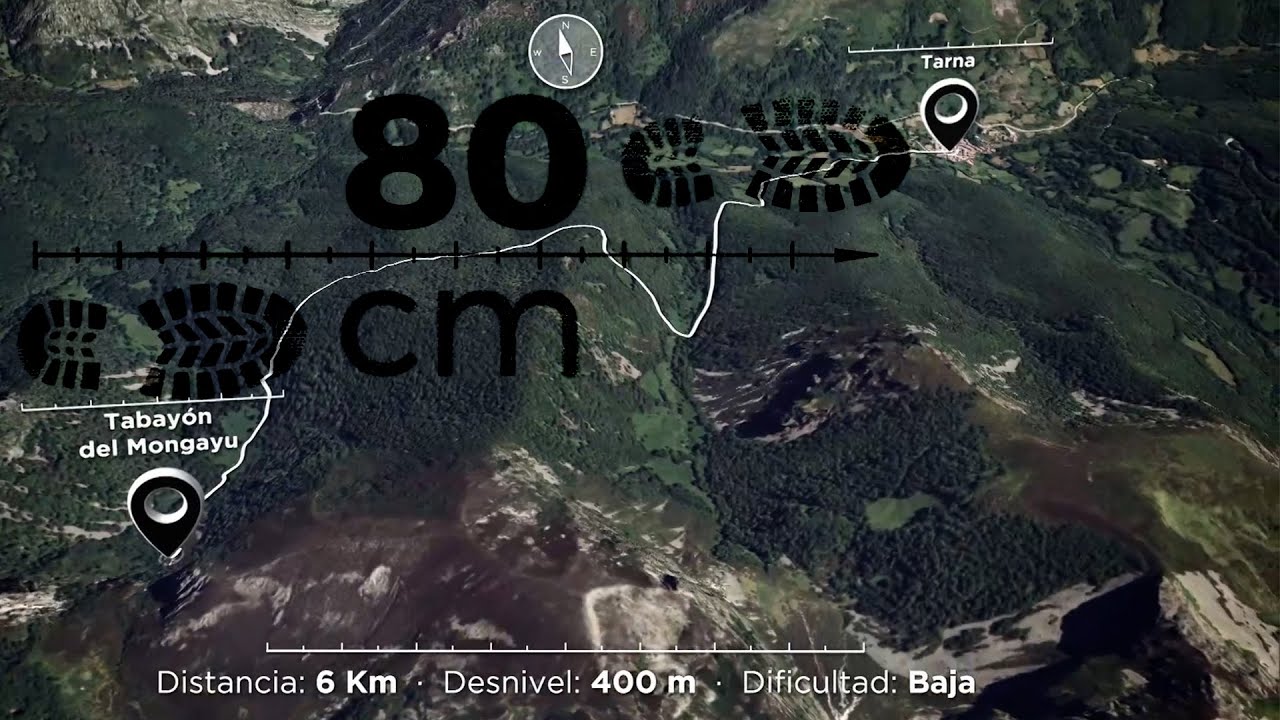Parque natural de Redes, en Asturias - 80 cm | La2