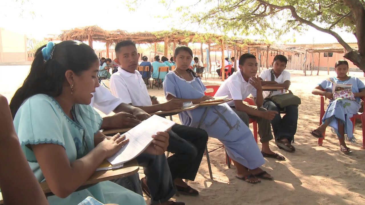 Hacia la eficiencia de la cadena ovino caprina en La Guajira