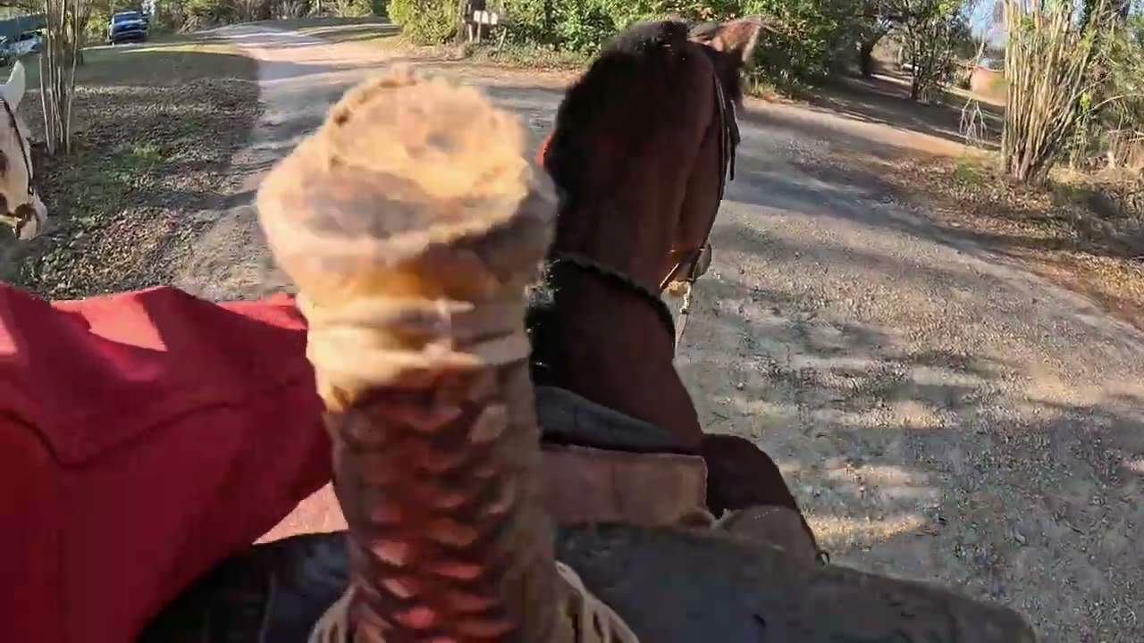 Ride with me! (monday ride) 