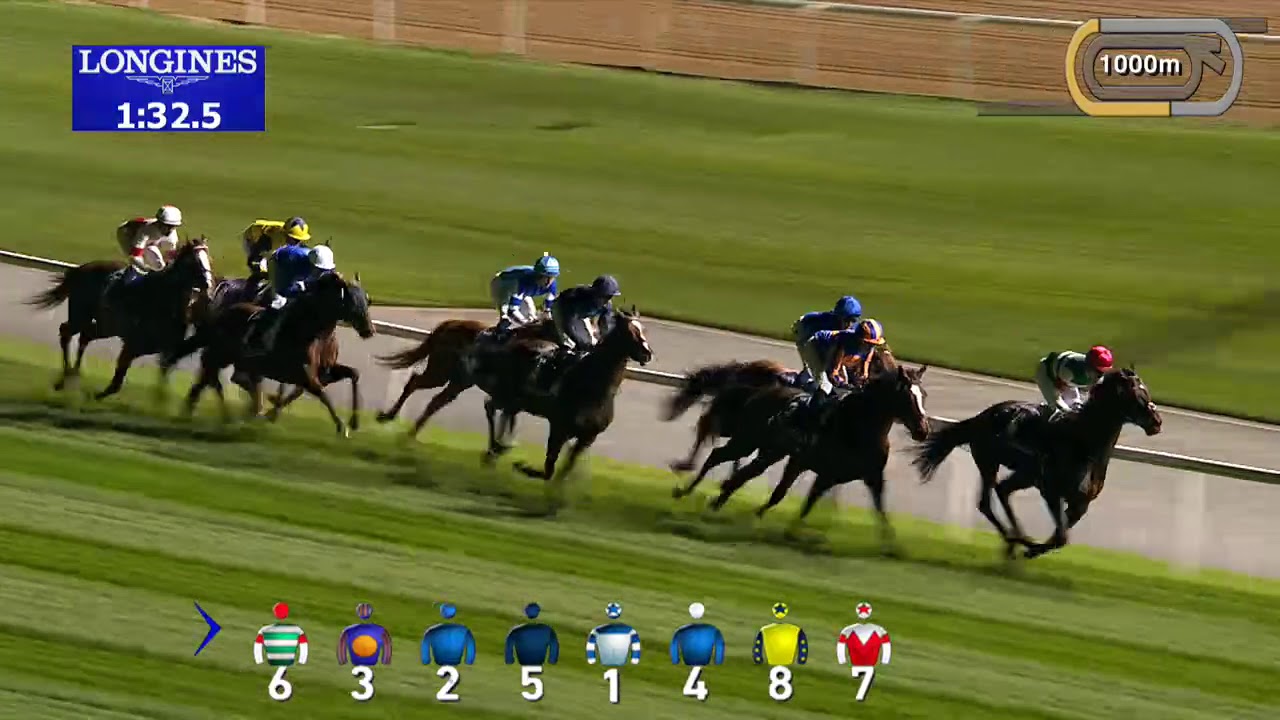 Dubai World Cup 2019: Sheema Classic Race Replay 2019 - Old Persian (GB)