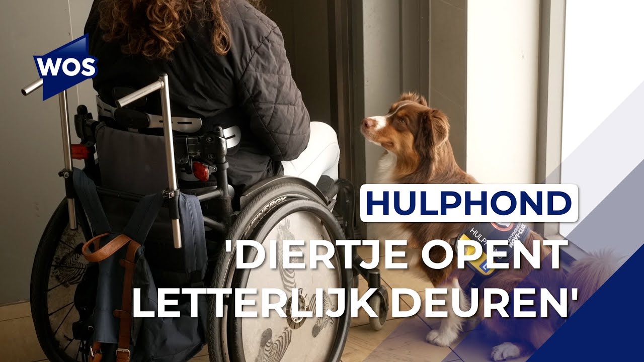 Hulphond opent letterlijk en figuurlijk deuren voor Naaldwijkse Rika