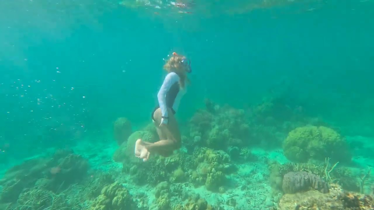 Ditaytayan island, Malcapuya island