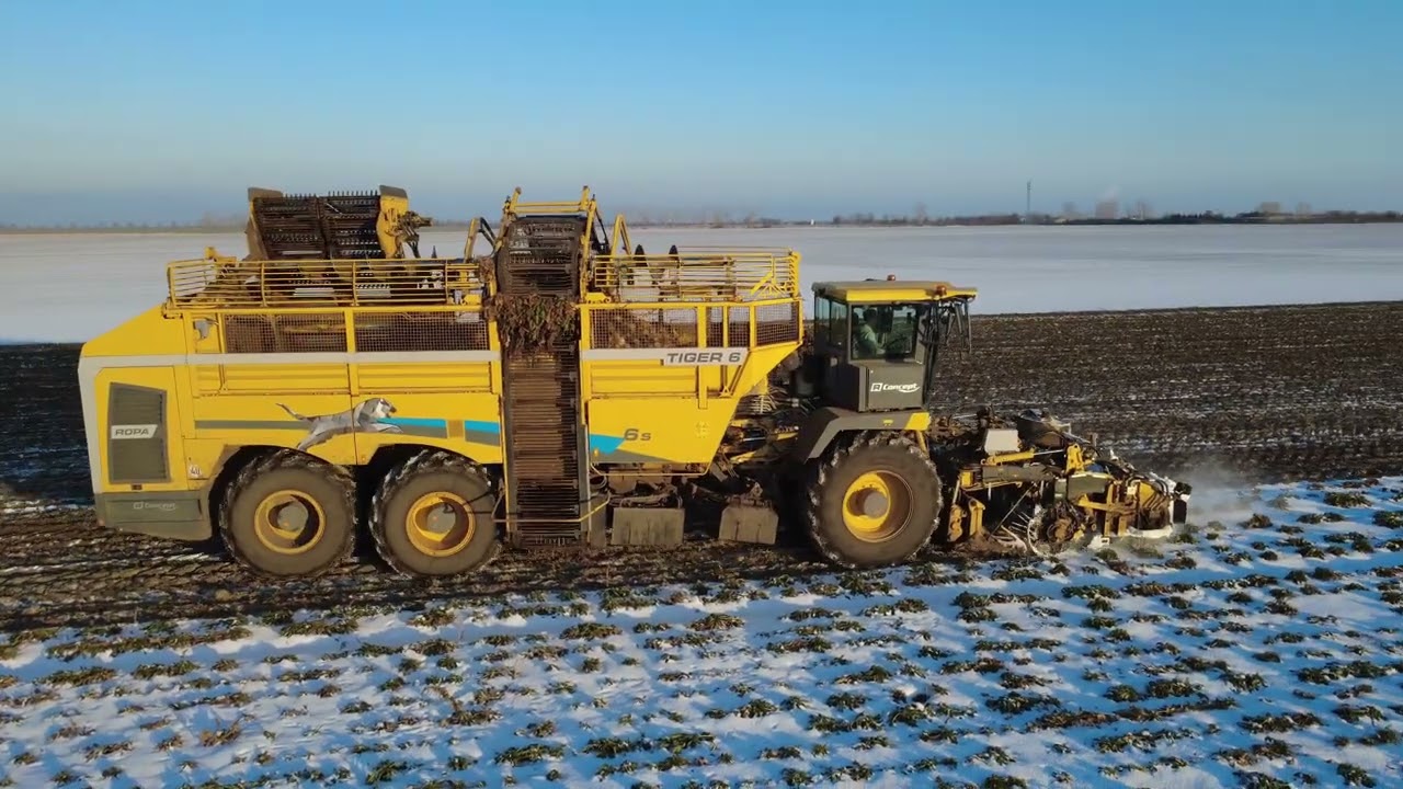 Zuckerrübenernte - 2026 📸🌾🚜