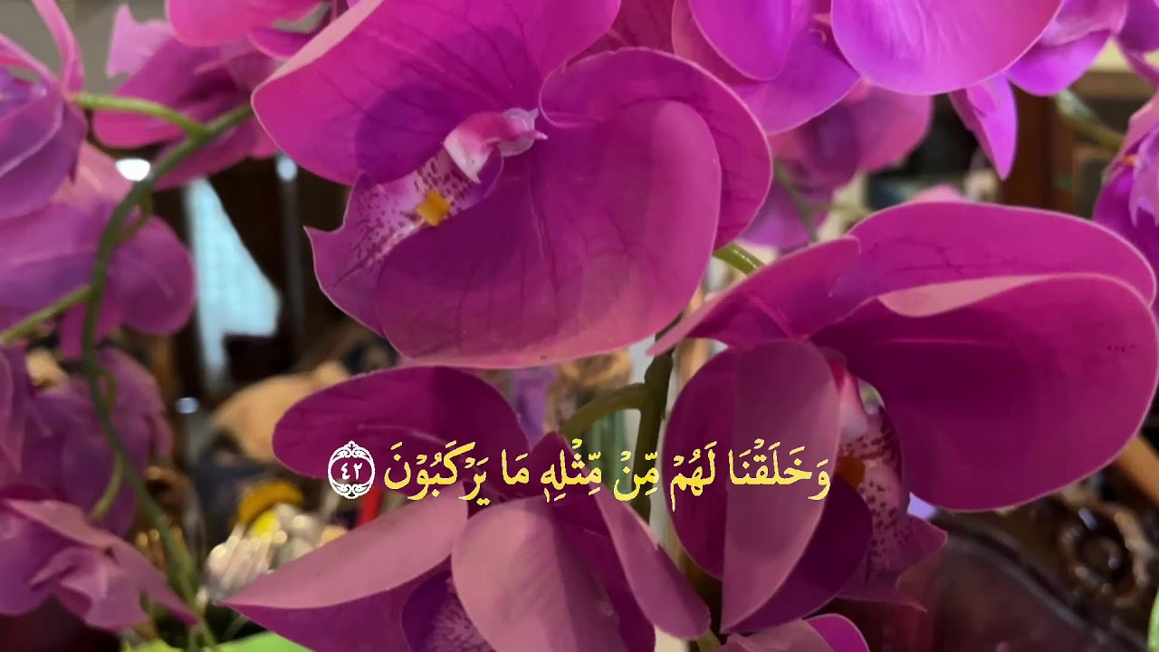 👉 Yosin surasi to‘liq 83 oyat | Yurakni tinchlantiruvchi go‘zal qiroat
