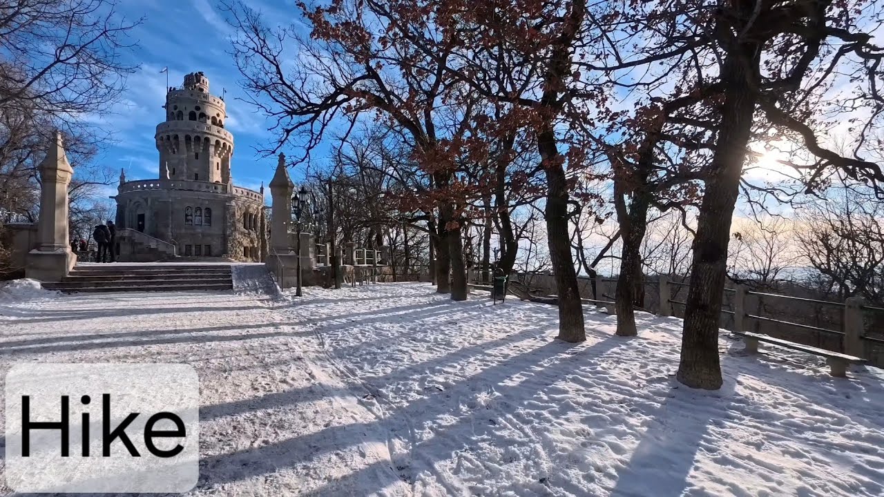 Normafa - Hűvösvölgy ❄️ - 20260104 - 10km - 240m