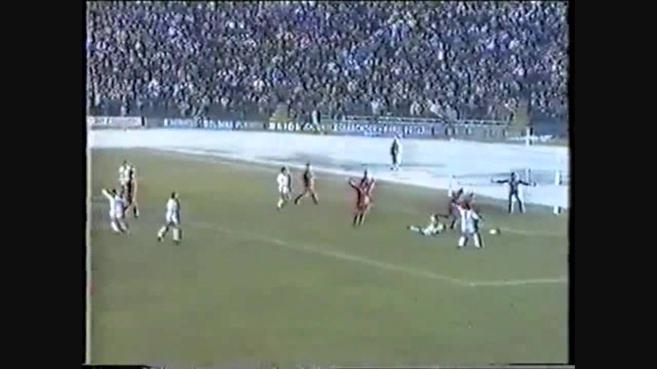 Ciurea 1988 Craiova