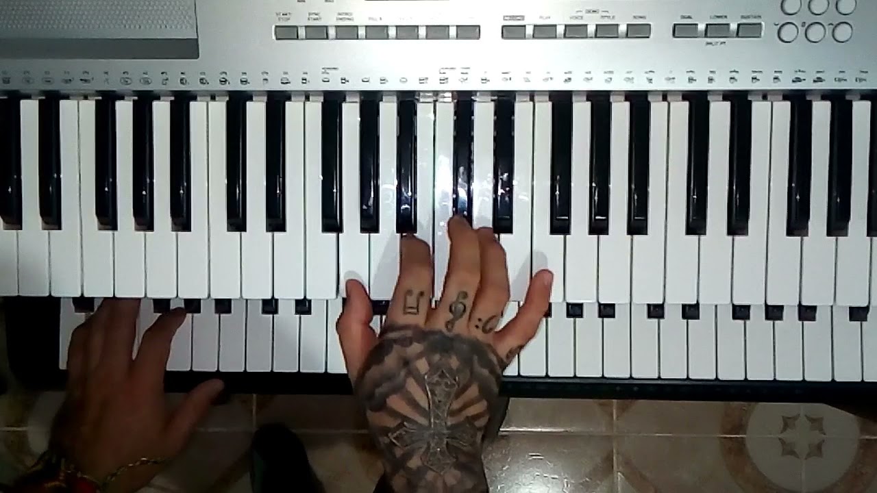 La Danza De Los Mirlos - Teclado