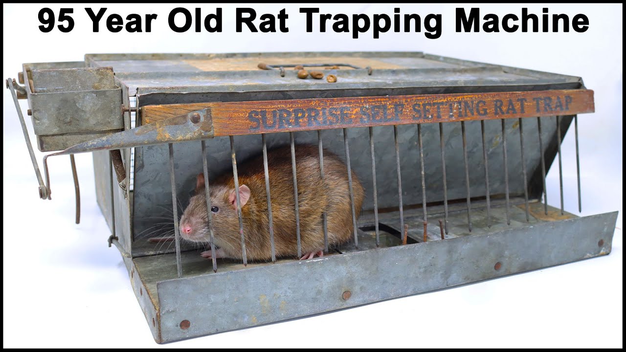 The Surprise Rat Catching Machine from 1925:  Mousetrap Monday