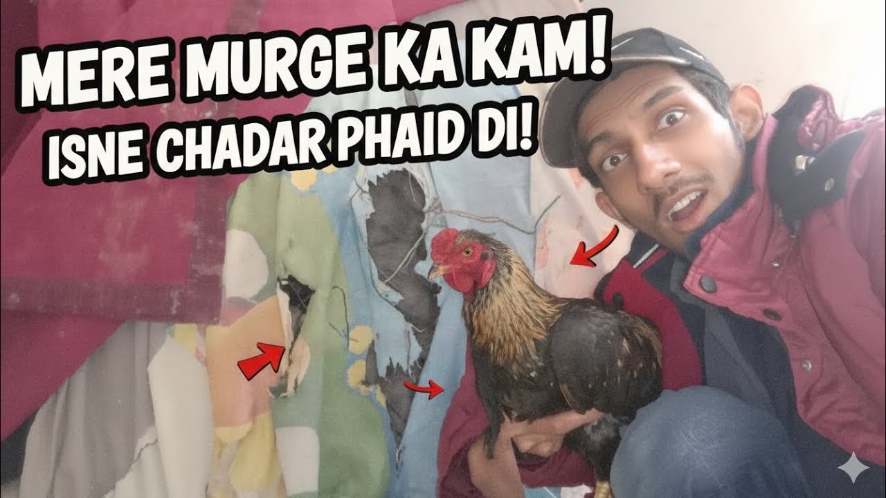 Mere Murge Ne Kar Diya Nuksan! 😱 Chadar Phaad Di! #foryou #dailyvlog 
