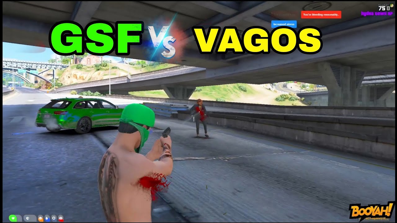 VAGOS VS GSF ( This is for Gringo ) Htrp /Road to 600Subcriber❤️/
