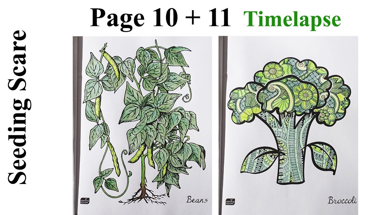 Seeding Scare "Beans and Broccoli" / Page 10 + 11 Timelapse