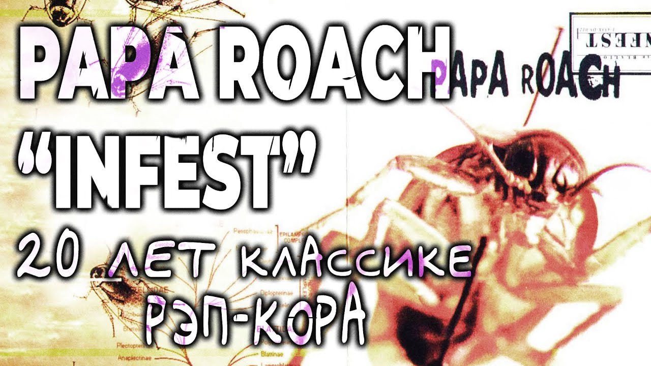 PAPA ROACH: INFEST. Обзор альбома | PMTV Channel