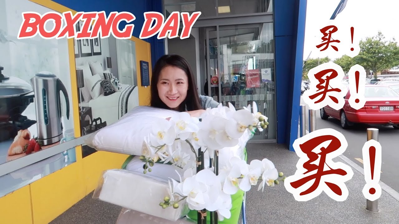 疯狂采购，回家种菜（新西兰 Harold Vlog 417）