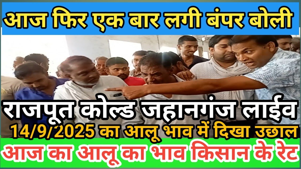 आज फिर राजपूत कोल्ड मे लगी बंपर बोली लाईव देखें|आलू का आज का भाव | 14/9/2025