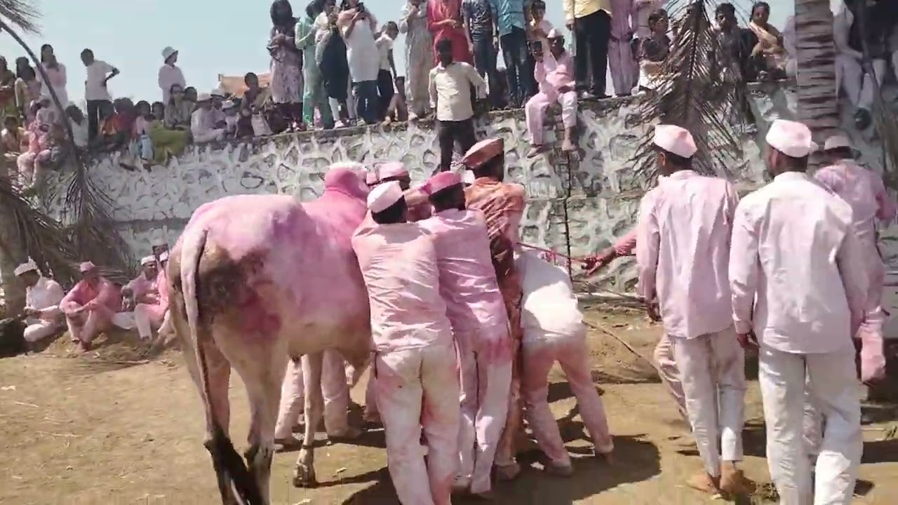 बावधन बगाड यात्रा 🚩 2026