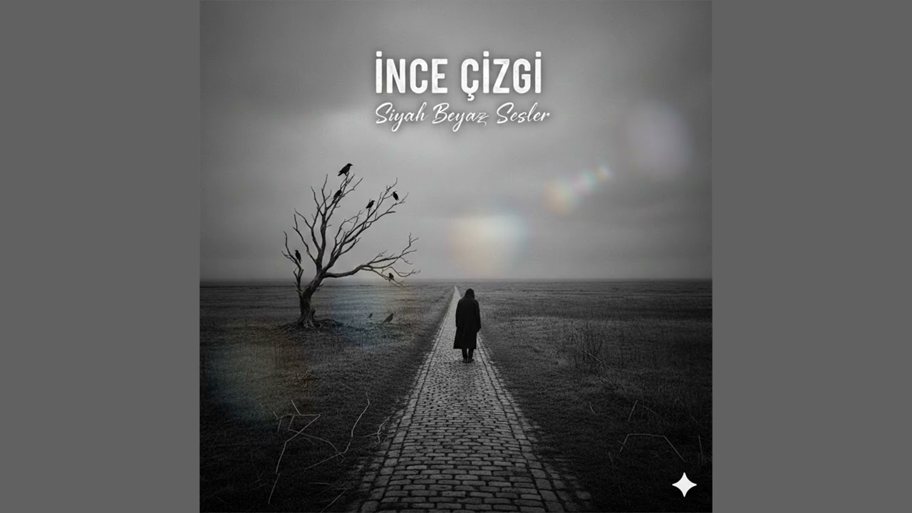 Siyah Beyaz Sesler - İnce Çizgi