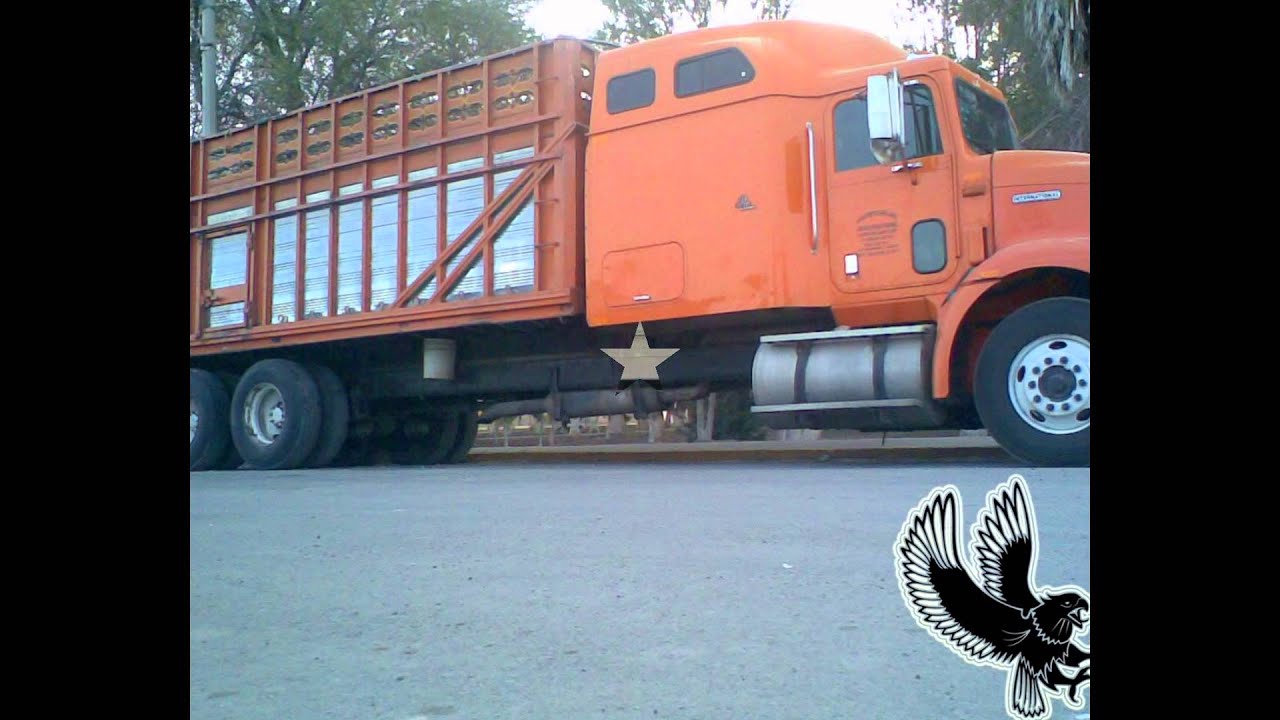 camiones torton en mexico10