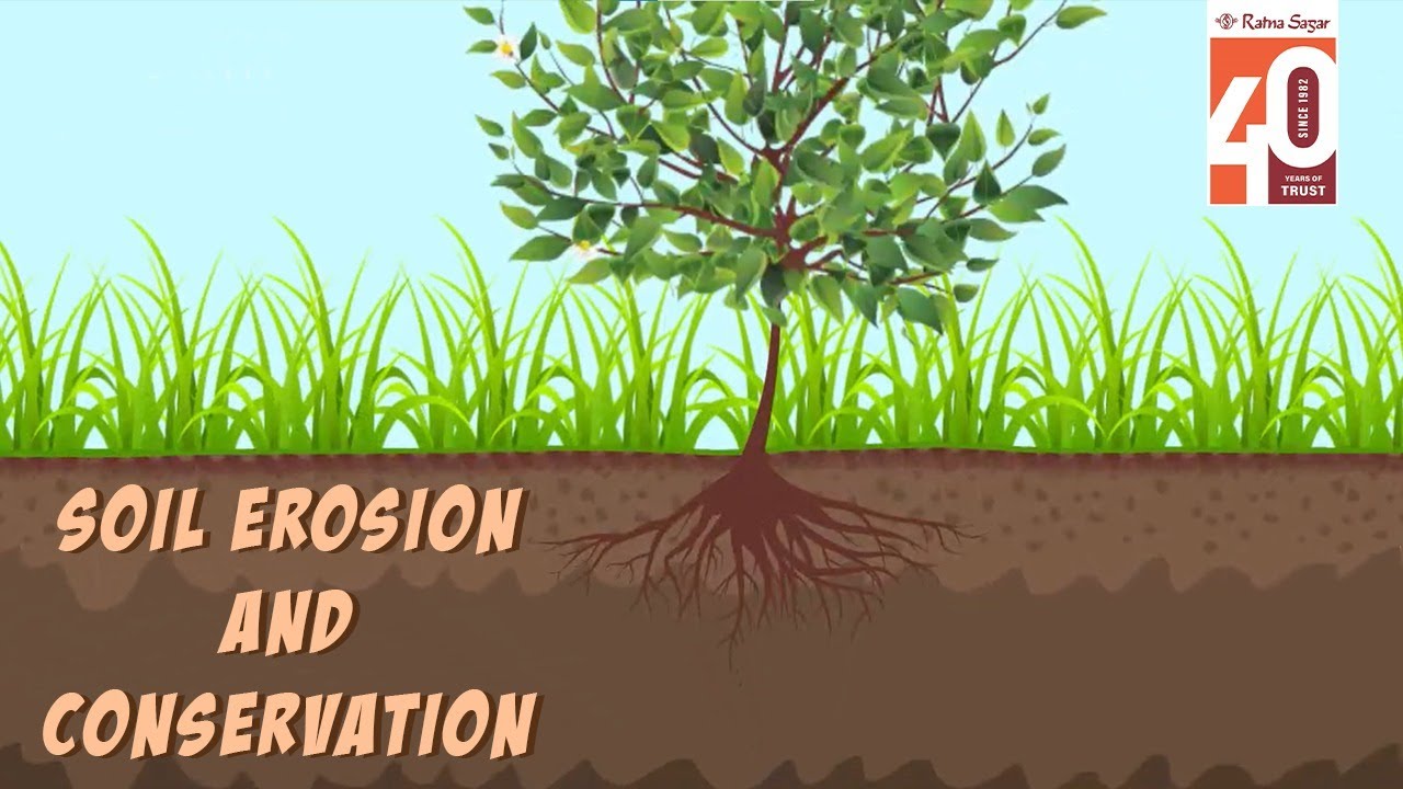 Soil Erosion and Conservation | Science Video for Kids | 2D Animation by Ratna Sagar
