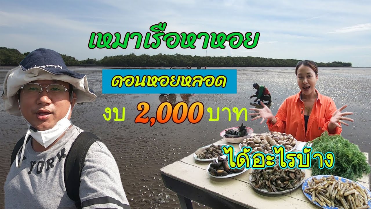 เหมาเรือหาหอย ดอนหอยหลอด 2,000 บาท คุ้มไหม จะได้ของทะเลสดๆอะไร ไปทำกินที่บ้านเยอะหรือเปล่า