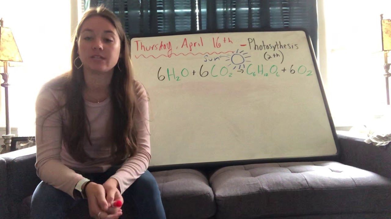 Photosynthesis Equation Breakdown