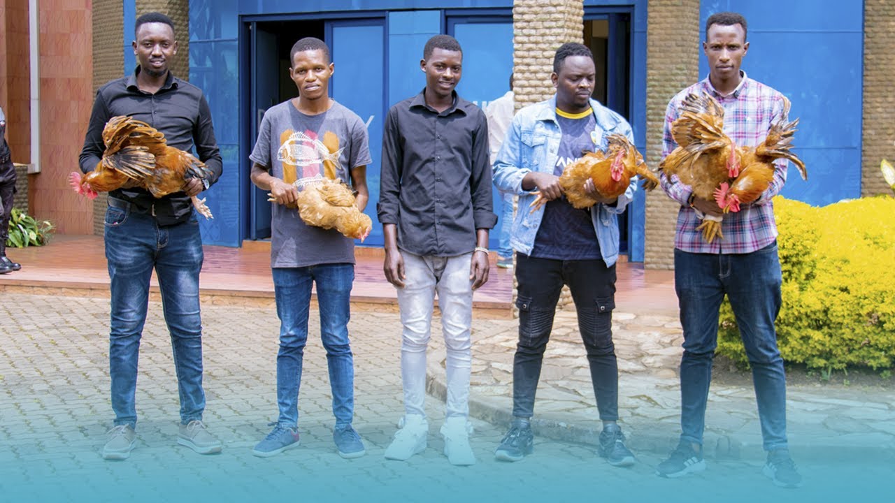 URUKIKO RW'IMIKINO: BARATUNGUWE BAHABWA INKOKO BAKIVA MUKIGANIRO//NATANGIYE KUMVA RADIO10 MURI 2016