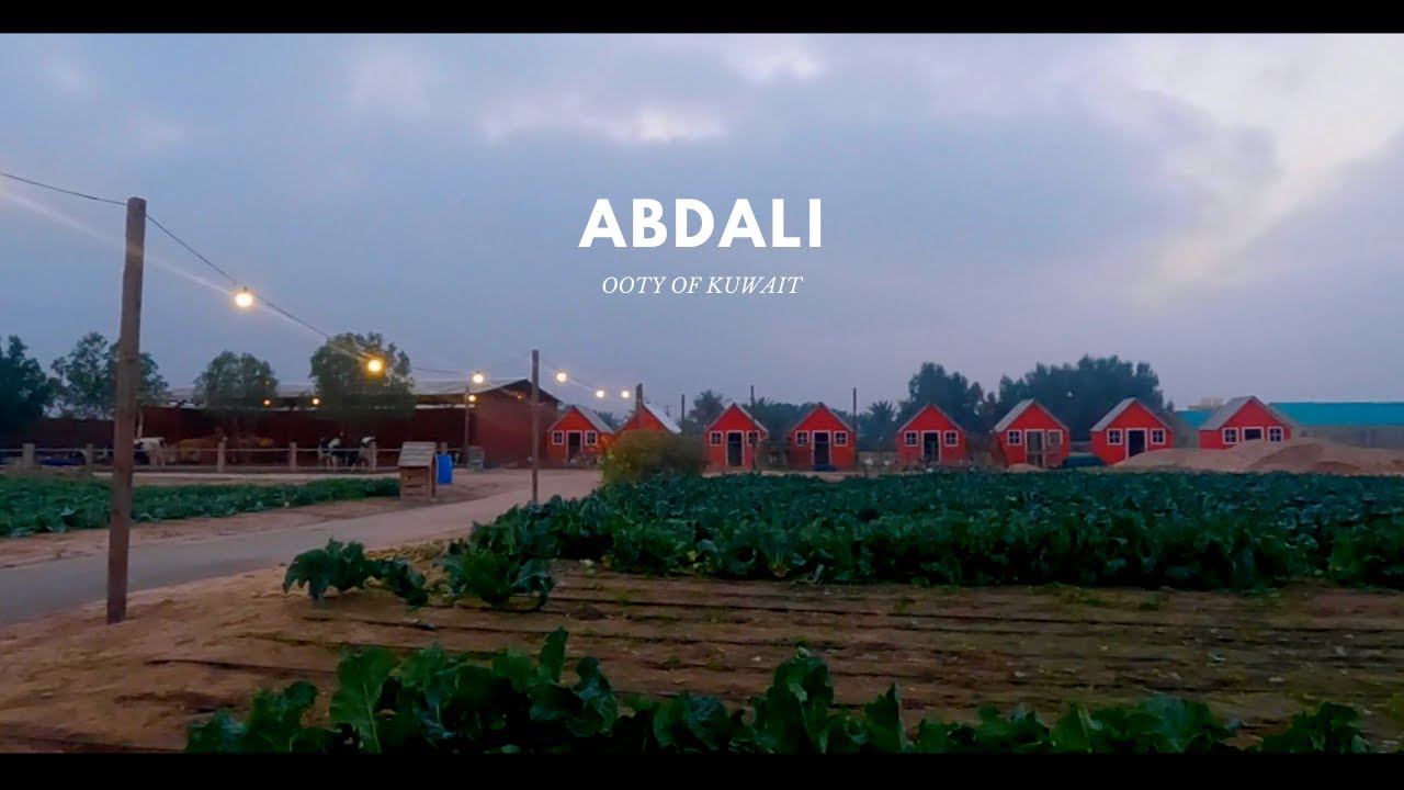 ABDALI - OOTY OF KUWAIT | AL BOHAYRA FARM | TRAVEL VLOG |