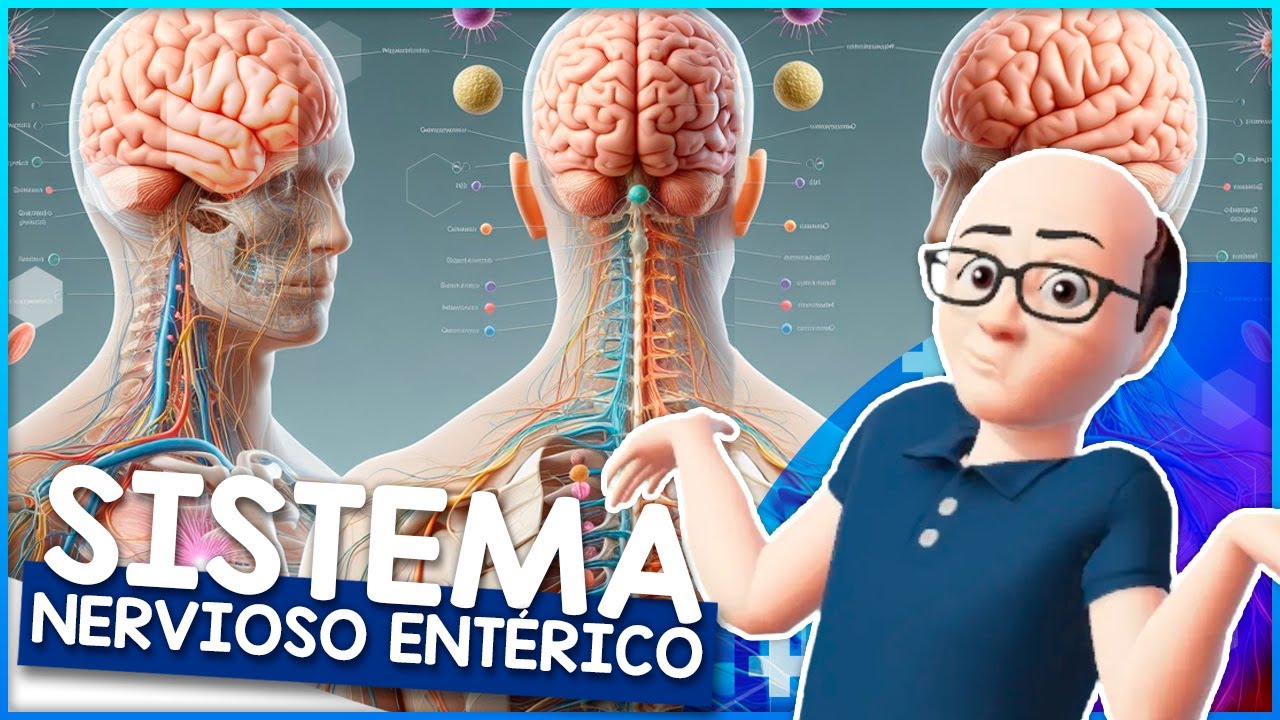 🧠💫 Sistema Nervioso Entérico🌀🔬