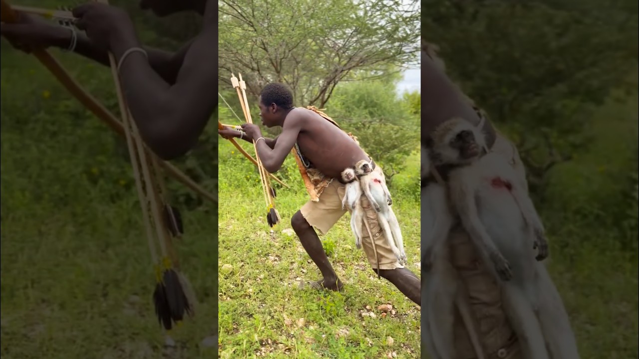 A Strange Struggle Appeared&hellip; Then It Escalated Fast | Bush Awareness!
