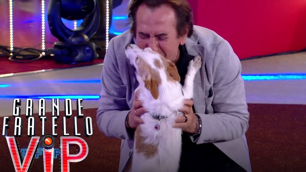 Grande Fratello Vip - Giucas Casella incontra la sua cagnolina Nina