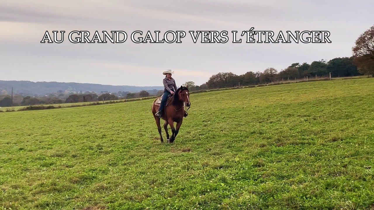 AU GRAND GALOP VERS L’ÉTRANGER (ITALIE, BELGIQUE, SUÈDE)