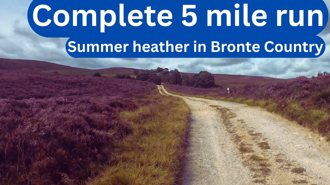 Complete 5 Mile Run Through Summer Heather on Moors in Bronte Country