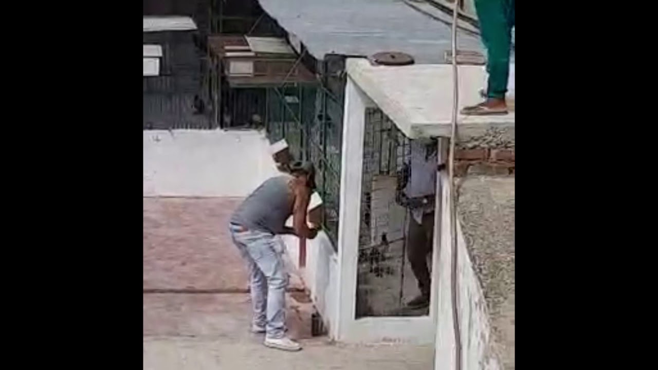 PALOMAS MENSAJERAS VUELO DE VELOCIDAD SIBONEY - SANTIAGO DE CUBA