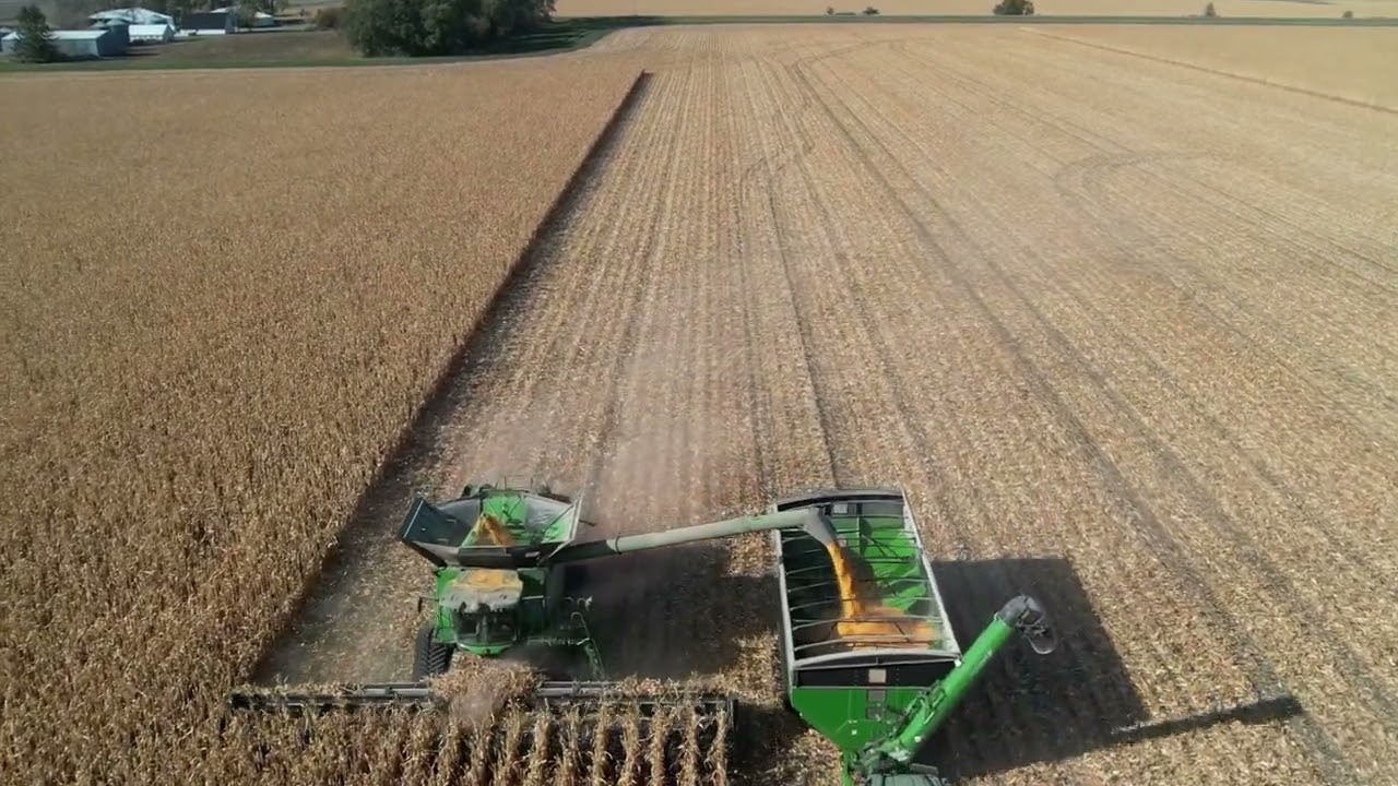 2022 Harvest at Engelstad Farms, Beltrami, MN