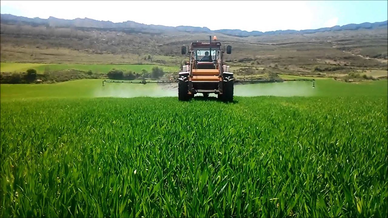 tratamiento de primavera