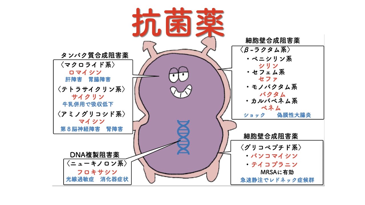 【薬理】抗菌薬