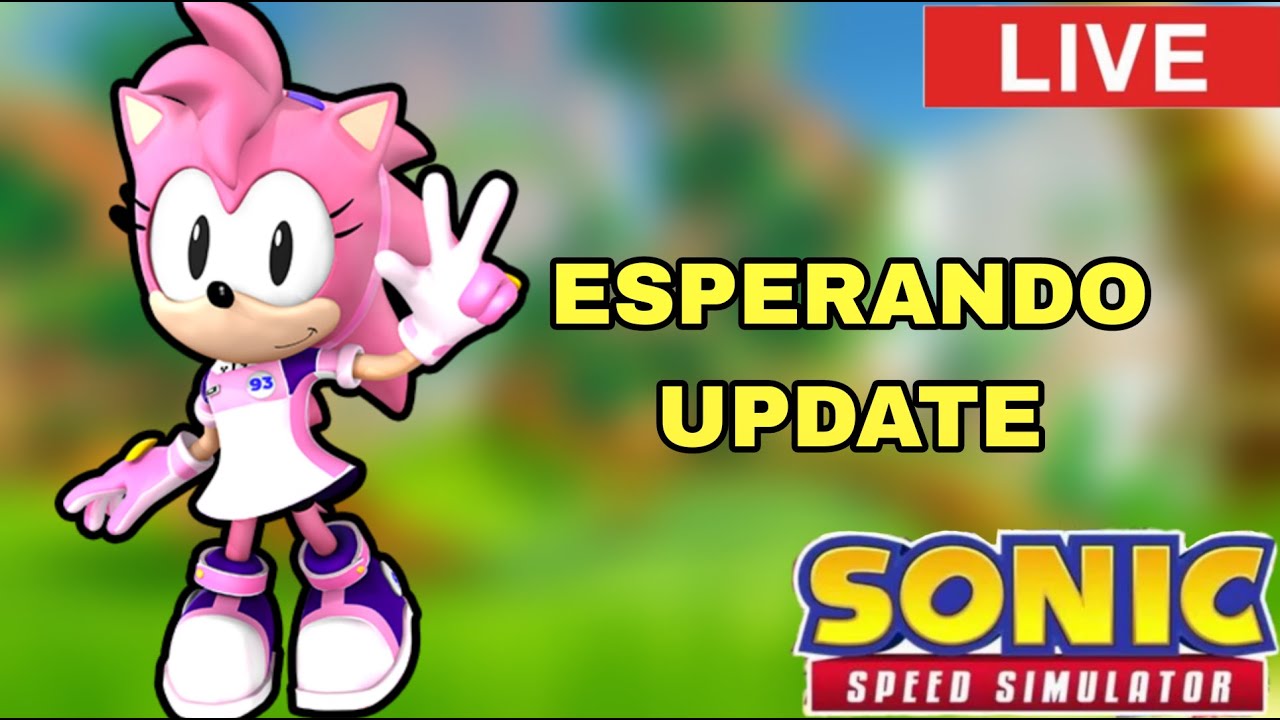 Esperando a Update do Sonic Speed simulator