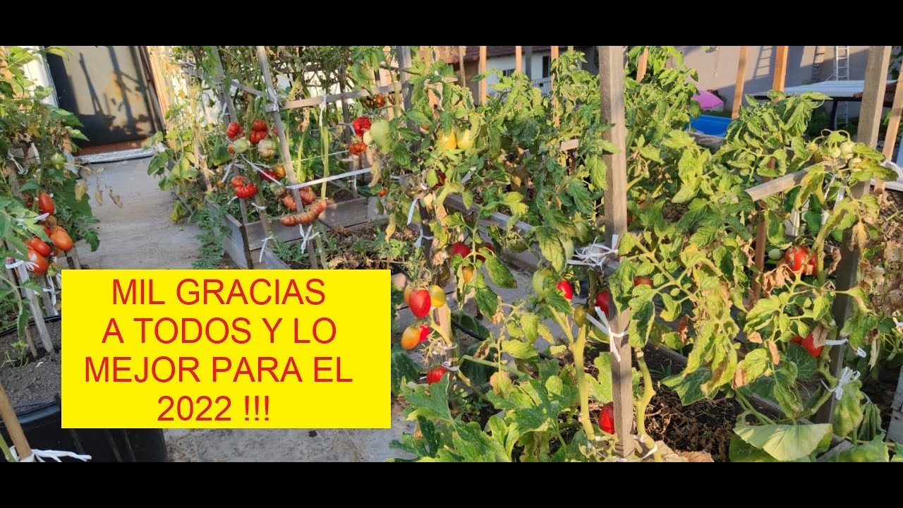 RECORIDA POR EL HUERTO EN EL ULTIMO VIDEO DEL AÑO