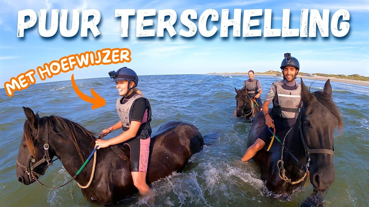 VOOR HET EERST ZWEMMEN met PAARDEN in de ZEE bij PUUR TERSCHELLING met HOEFWIJZER!