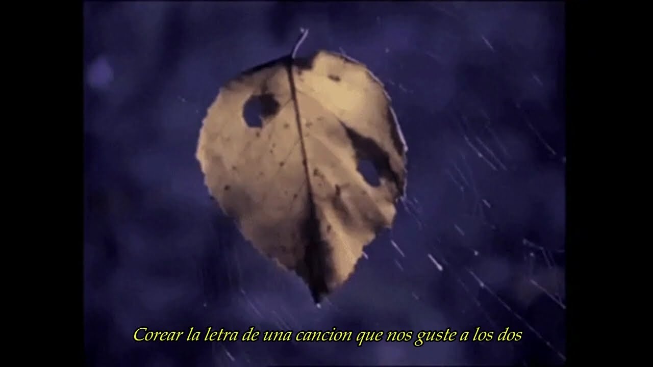 Elvix - Voz 🍁